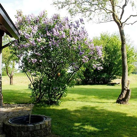 Fewos In Klein-Grindau Schwarmstedt Exterior foto